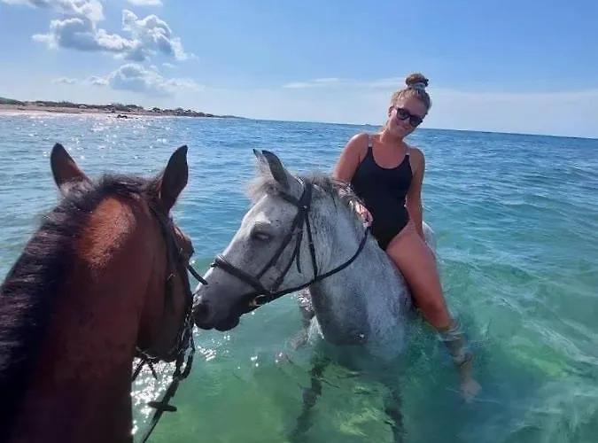 Nirvana In * Halikounas