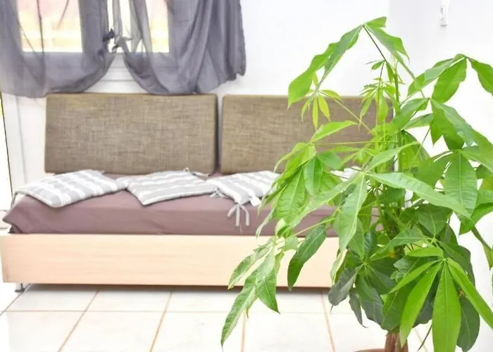 Nirvana In * Halikounas