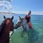 Nirvana In * Halikounas