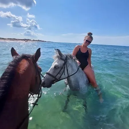 Nirvana In * Halikounas