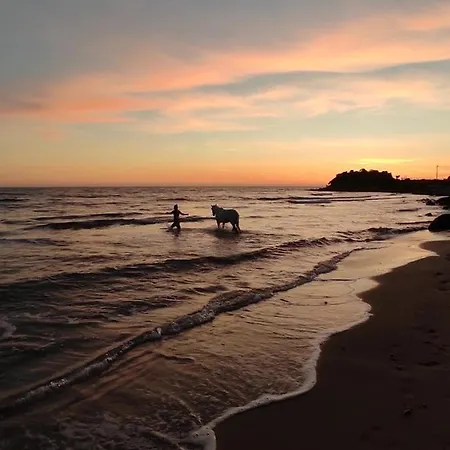 Apartament Nirvana In Halikounas