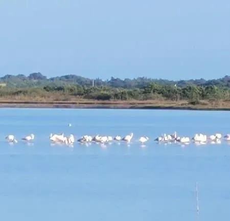 Apartament Nirvana In