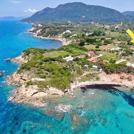 Nirvana In * Halikounas