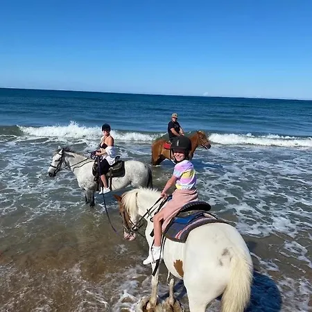 Nirvana In * Halikounas