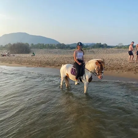 Nirvana In 아파트 Halikounas