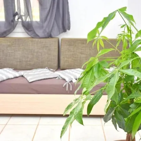 Nirvana In * Halikounas